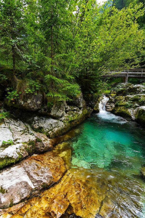 Julian Village Lepena Soča Exteriör bild